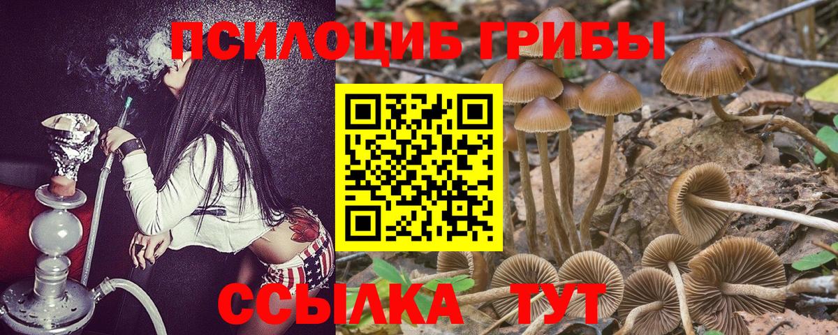Псилоцибиновые грибы мухоморы Барнаул