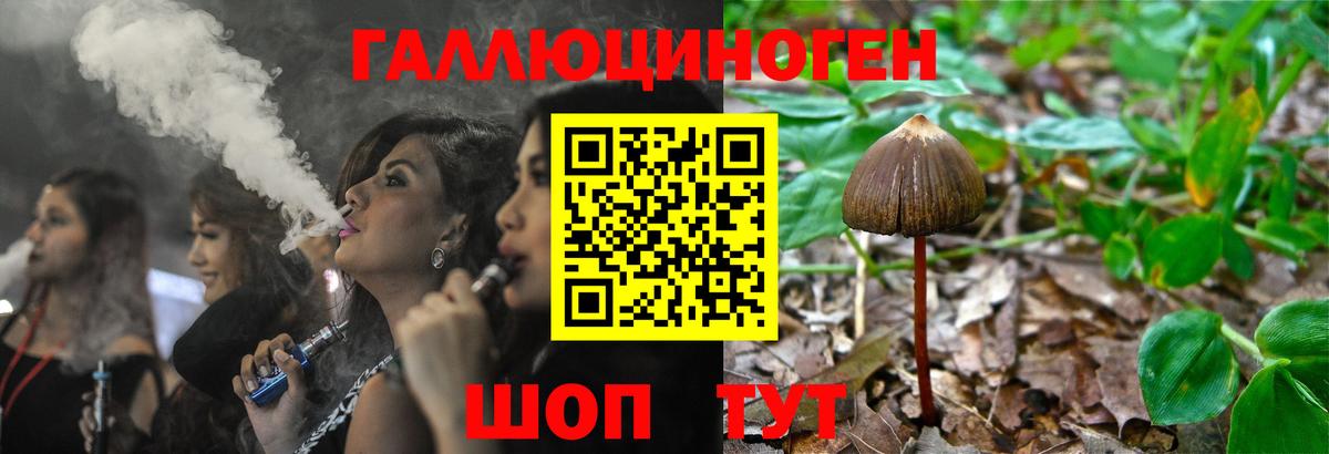 Псилоцибиновые грибы Psilocybe  Галлюциногенные грибы Psilocybine cubensis  Вход с VPN  сколько стоит  Барнаул 
